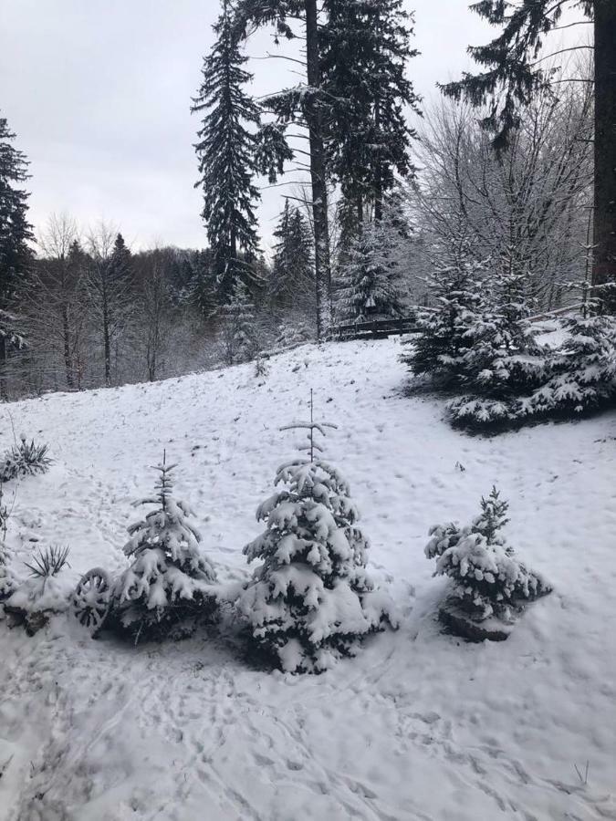 Fairytale Apartment Close To Bradu Ski Slope Poiana Brasov Ngoại thất bức ảnh