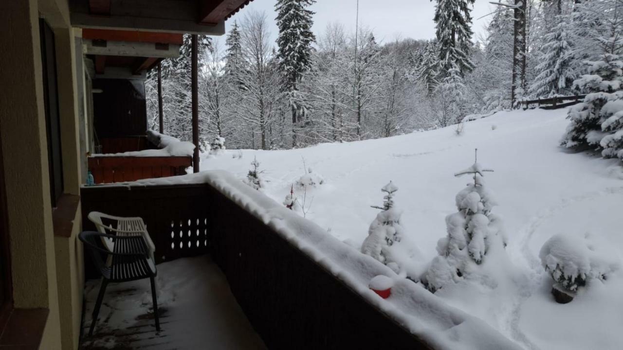 Fairytale Apartment Close To Bradu Ski Slope Poiana Brasov Ngoại thất bức ảnh
